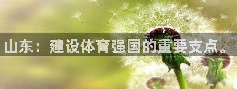 意昂5(KGAME)代理：山东：建设体育强国的重要支点。