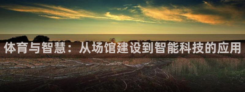 意昂5(KGAME)娱乐是那个系列的台子：体育与智慧：从场馆