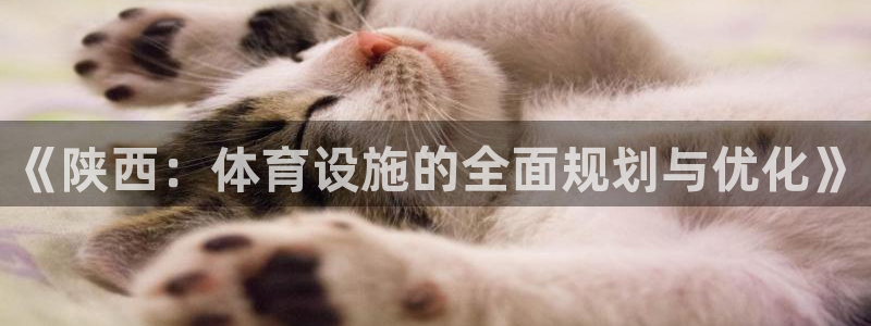 意昂5(KGAME)集团官网网址：《陕西：体育设施的