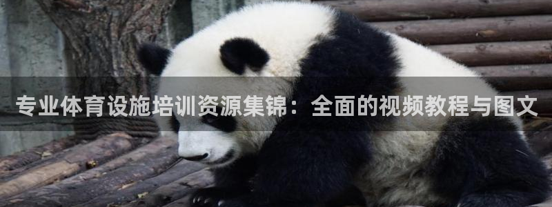 意昂5(KGAME)官网：专业体育设施培训资源集锦：